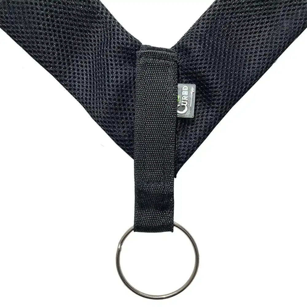 cured-clavicle-brace3