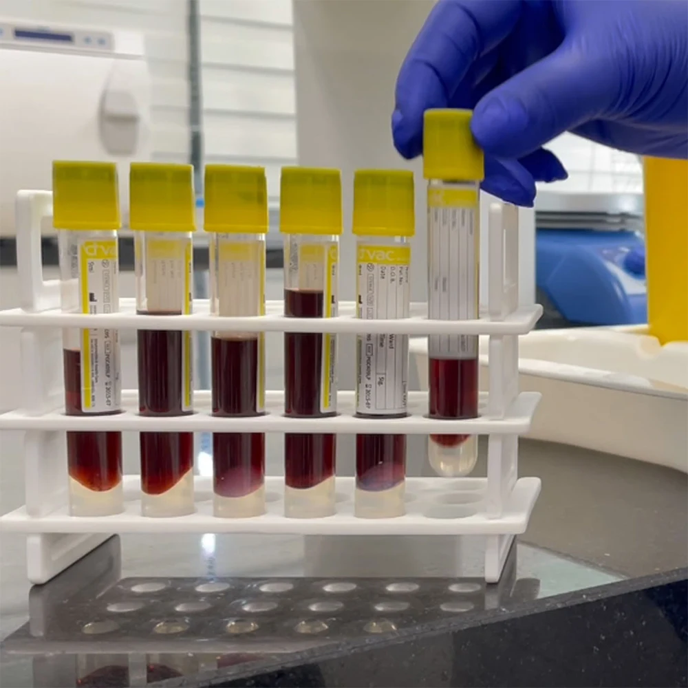 pip-t3-rack-18-cells4