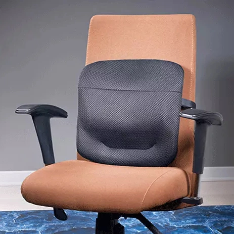 barad-ergonomic-lumbar-support-ls12