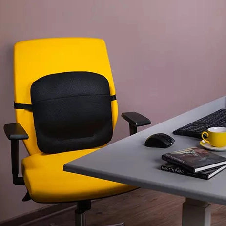 barad-ergonomic-lumbar-support-ls13