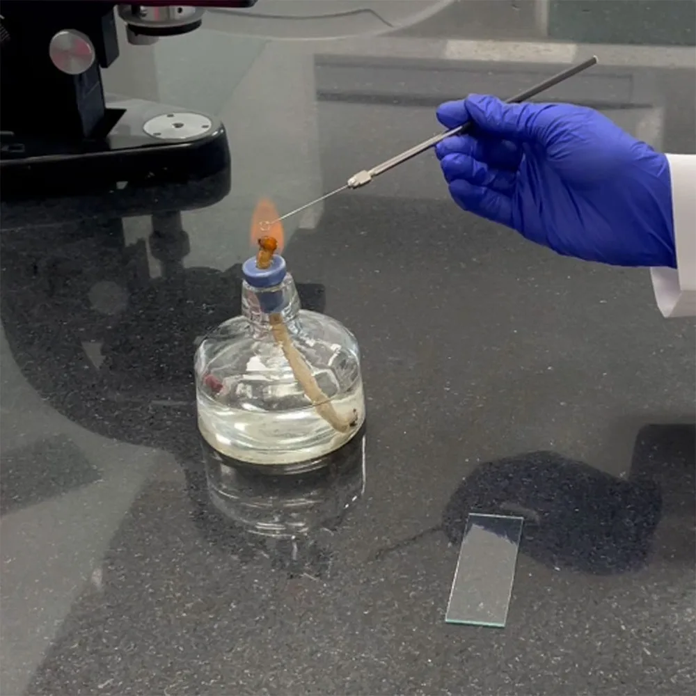 pip-inoculating-loop-holder2