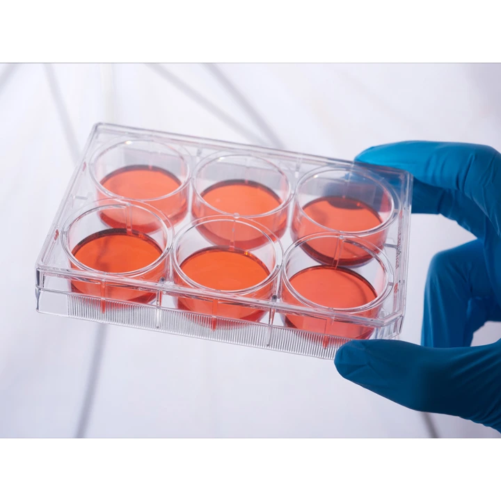 jet-biofil-tissue-culture-plate-6-well1