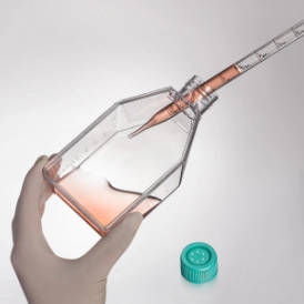 jet-biofil-vent-cap-surface-treatedcell-and-tissue-culture-flasks2