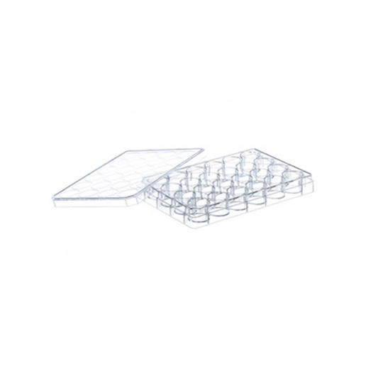 spl-cell-culture-plate-sterile-24