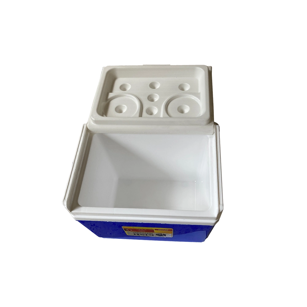 kish-termoos-mini-cooler-box1