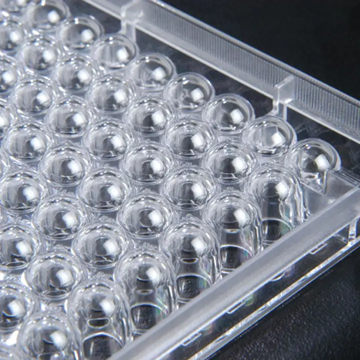 spl-cell-culture-plate-sterile-961