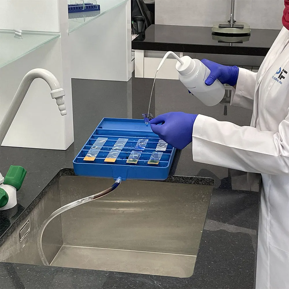 pip-staining-tray-with-slide-holder4