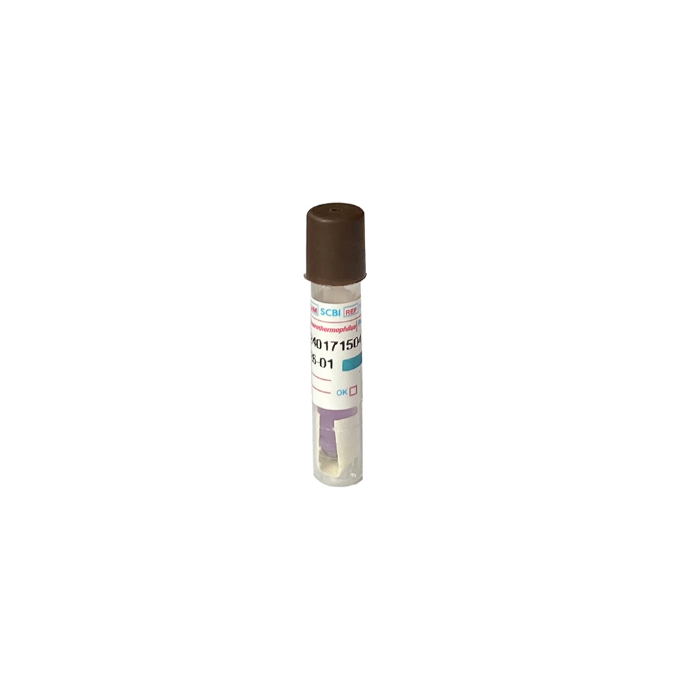 rrs-steam-geobacillus